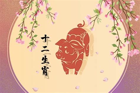 屬豬個性|生肖豬: 性格，愛情，生肖1995，2007，2019